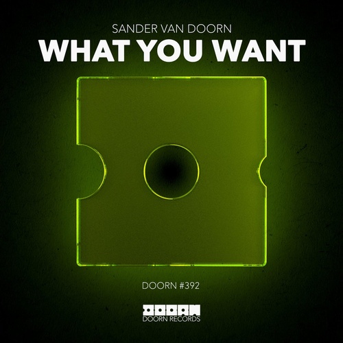 Sander Van Doorn - What You Want [190296730375]